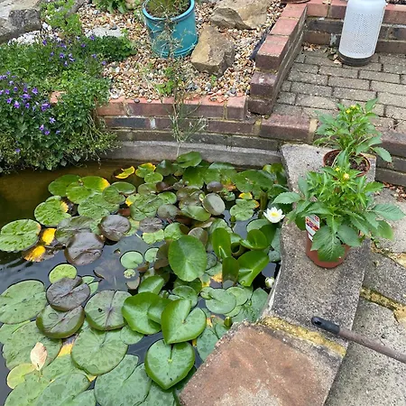Pond Cottage Purley Exterior photo
