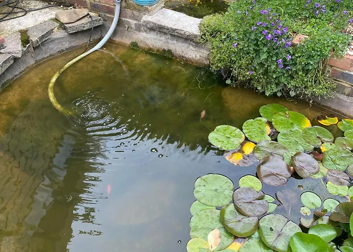 Pond Cottage