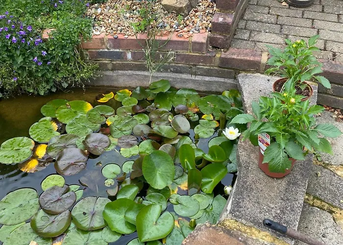 Pond Cottage